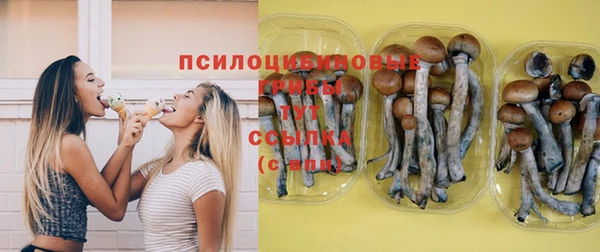 хмурый Балахна