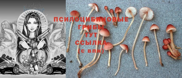 a pvp Балабаново