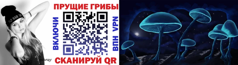 mega зеркало  Костомукша  Псилоцибиновые грибы мицелий 
