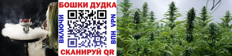 MEGA tor  где найти наркотики  Костомукша  Марихуана Bruce Banner 